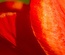 MiniBreak:  | TEMPLATED