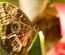 Mariposa: CSS Templates | TEMPLATED