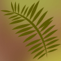 Mistybud:  | TEMPLATED