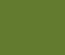 Bird Store Template