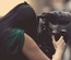 Fotograph web and mobile website template for free
