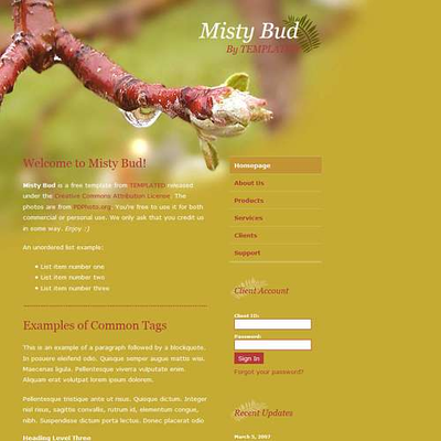 Mistybud:  | TEMPLATED