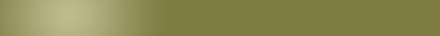 Biz Dark Khaki Template