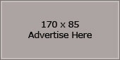 Block 3d Template