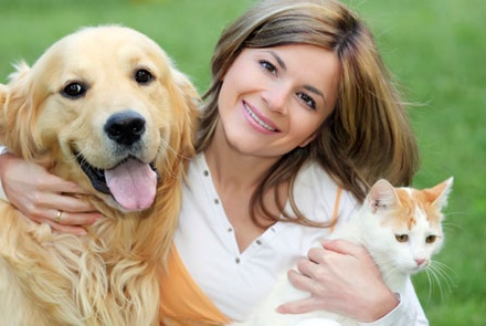 Smarty for animals and pets Mobile Website Template