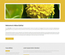 YellowDahlia:  | TEMPLATED