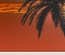 Travel Template