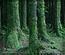 Naturalbeauties:  | TEMPLATED