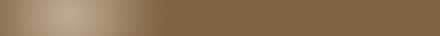 Biz Brown Template