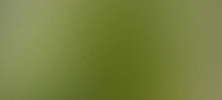 Clarion: CSS Templates | TEMPLATED
