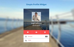 Simple Profile Widget Responsive Template