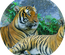 Wild Nature a Animal Category Flat Bootstrap Responsive Web Template