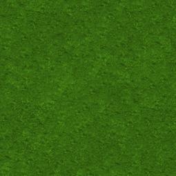 GrassTown:  | TEMPLATED