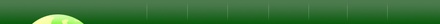 Finance Template
