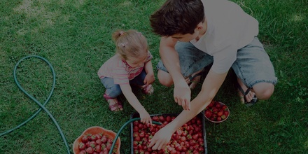 Fruit Farm an Agriculture Category Bootstrap Responsive Web Template