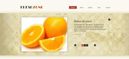 Simplex Template