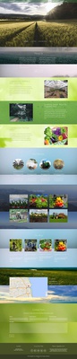 Vegetable Farm a Agriculture Category Responsive Web Template