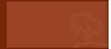 Travel Template