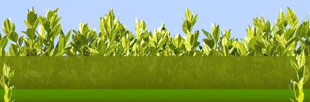 Greenhome Template