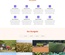 Cropping a Agriculture Flat Bootstrap Responsive web Template
