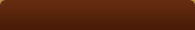 Bird Store Template
