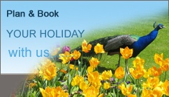 Travel Template