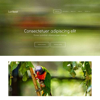 Lorikeet: CSS Templates | TEMPLATED