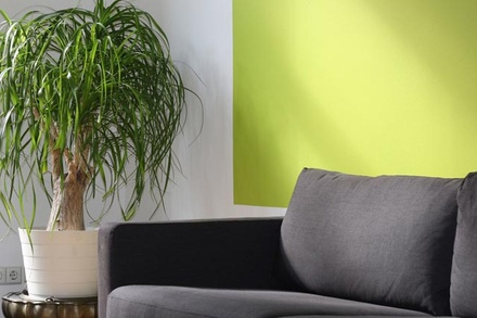 Cosy Couches an Interior Category Bootstrap Responsive Web Template