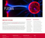 Plasma:  | TEMPLATED