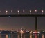 Citynight Template
