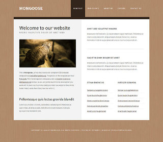 Mongoose:  | TEMPLATED