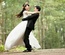 Wedding Mobile Website Template