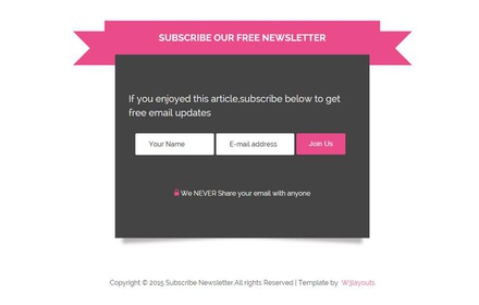 Newsletter Subscriber Form Responsive Widget Template
