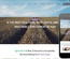 Viticulture an Agriculture Category Flat Bootstrap Responsive Web Template