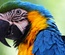 Speaker Blog Template