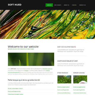SoftHued:  | TEMPLATED