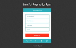 Levy Registration Form Responsive Widget Template