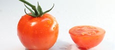 Tomato Template