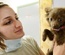 Pets Love a animal Category Flat Bootstrap Responsive Web Template