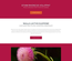 BarbedFlower: CSS Templates | TEMPLATED