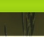 Green Field Template