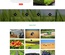 Farmed an Agriculture Category Flat Bootstrap Responsive Web Template