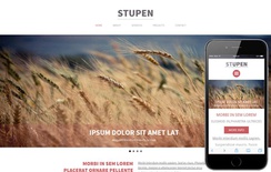 Stupen a Single Page Multipurpose Flat Bootstrap Responsive web template