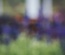 Botany Template