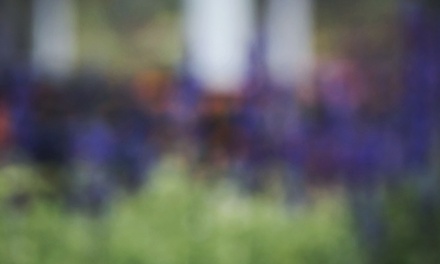 Botany Template