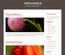 Effloresce:  | TEMPLATED
