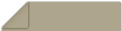 Gadget Store Template