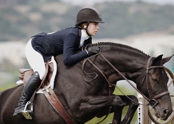 Horse Crew Sports Category Bootstrap Responsive Website Template