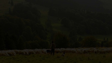 Farmland an Agriculture Category Flat Bootstrap Responsive Web Template