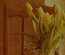 Inner Motif an Interior Category Flat Bootstrap Responsive Web Template
